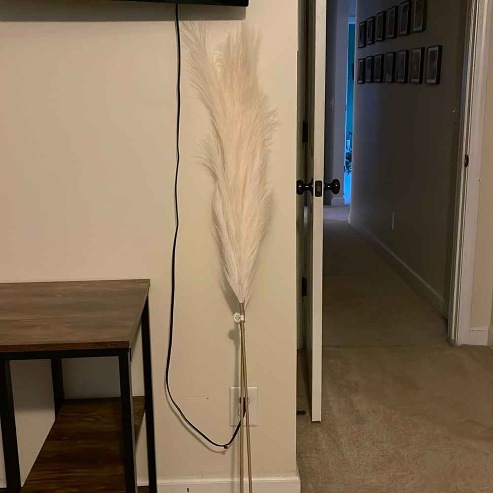 Tall pampas grass